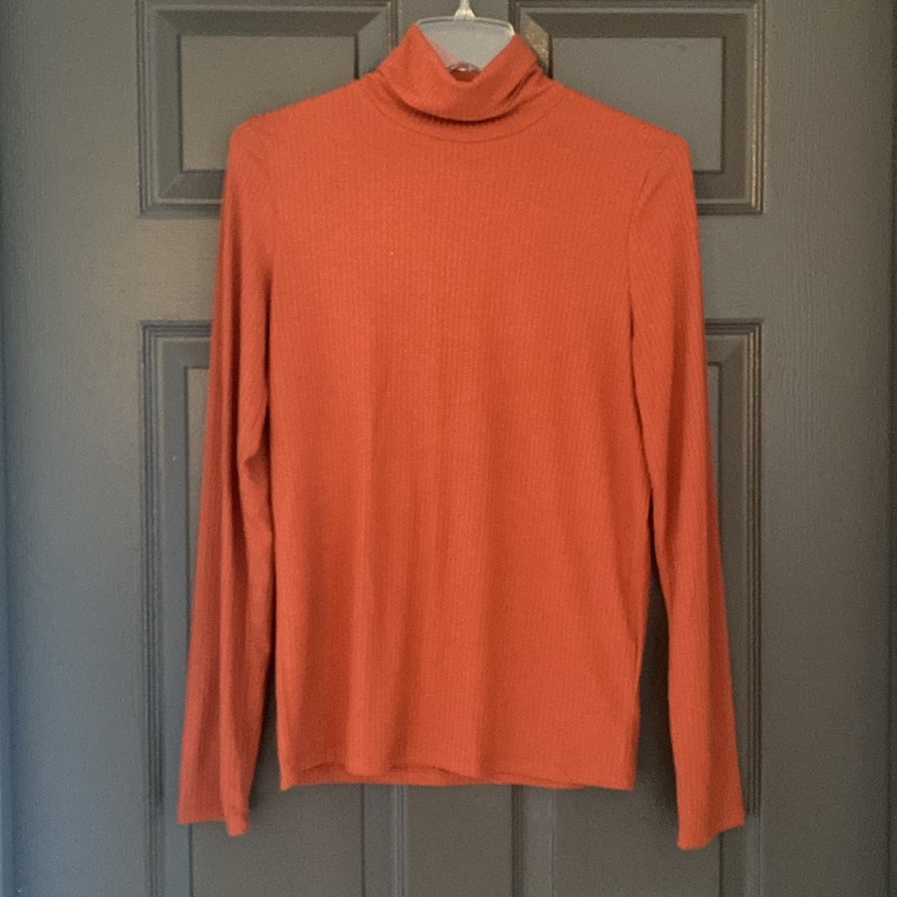 Madewell Turtleneck